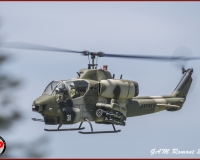 TSR Watermark - 0455
